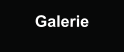 Galerie